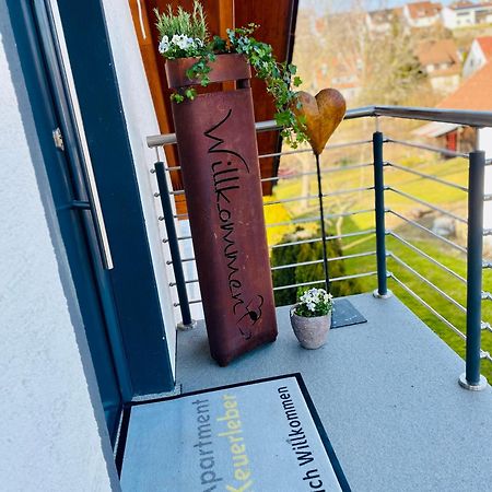 Apartment Keuerleber Holzmaden Bagian luar foto
